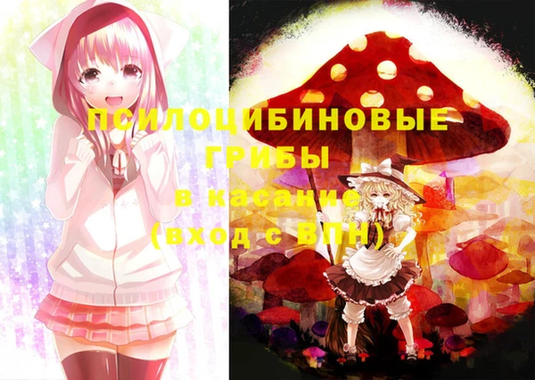 кокс Баксан